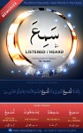 The-most-frequently-used-Quranic-word-series—36